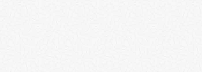 Internet Special  – Tile and grout deep cleaning